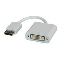 ROLINE DisplayPort naar DVI Adapter